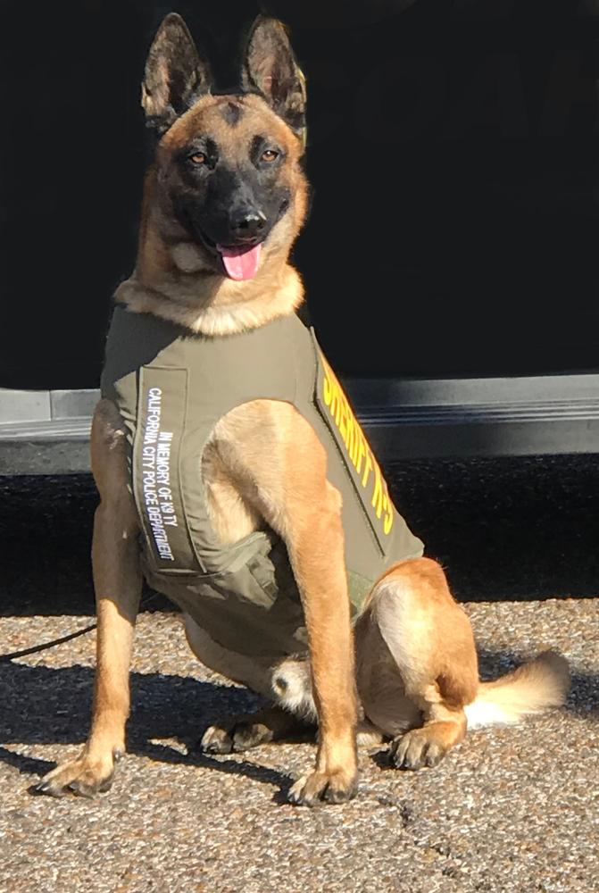 COLT K-9.jpg